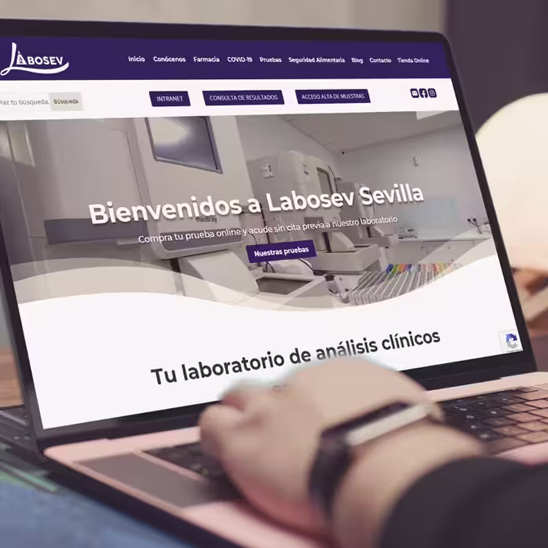 Diseño y desarrollo de la nueva web de Labosev